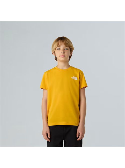  THE NORTH FACE | NF0A8EFN/56P1